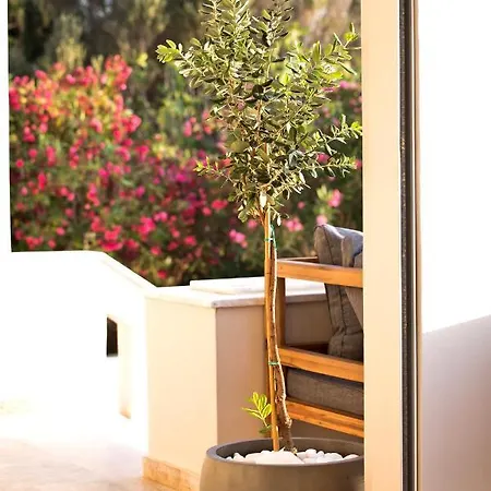 Horizon Kalymnos فندق Myrties