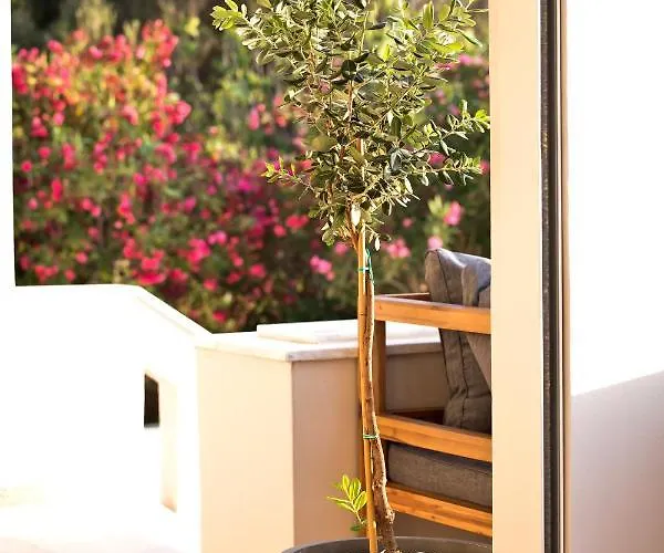 Horizon Kalymnos Otel Myrties